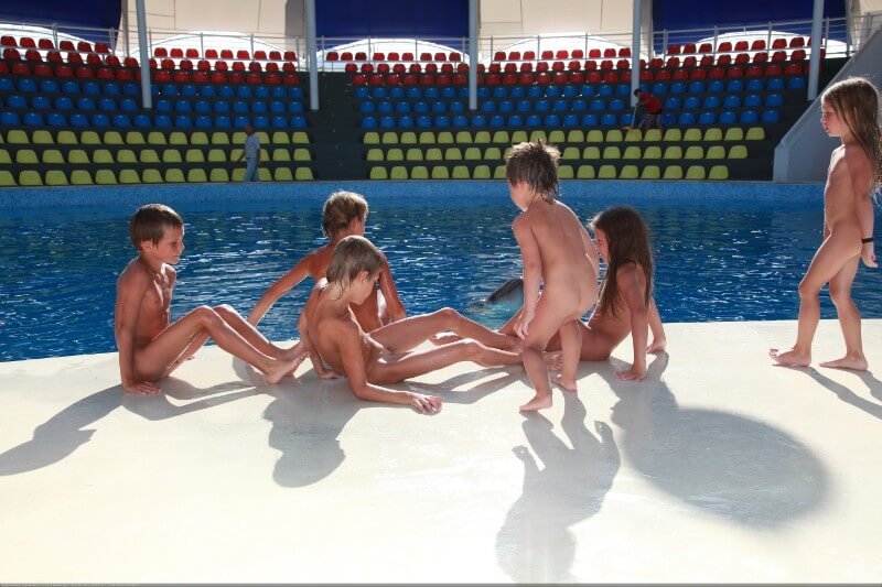 Swimming dolphins photo gallery - World Naturist Federation