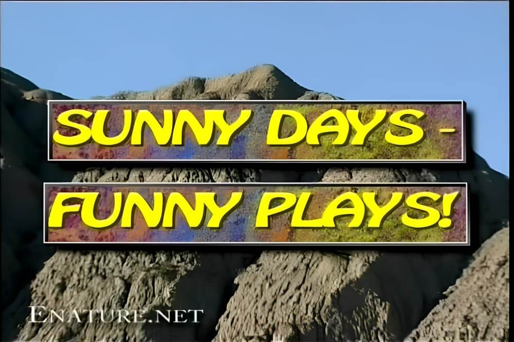 Enature - Sunny Days – Funny Plays - Unrestricted freedom is a core value in nudism and naturism