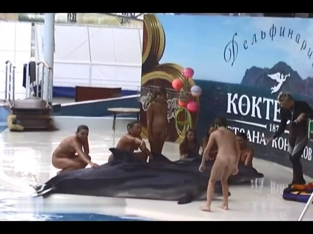 Relaxing at the dolphinarium - Nudist festivals are beautiful